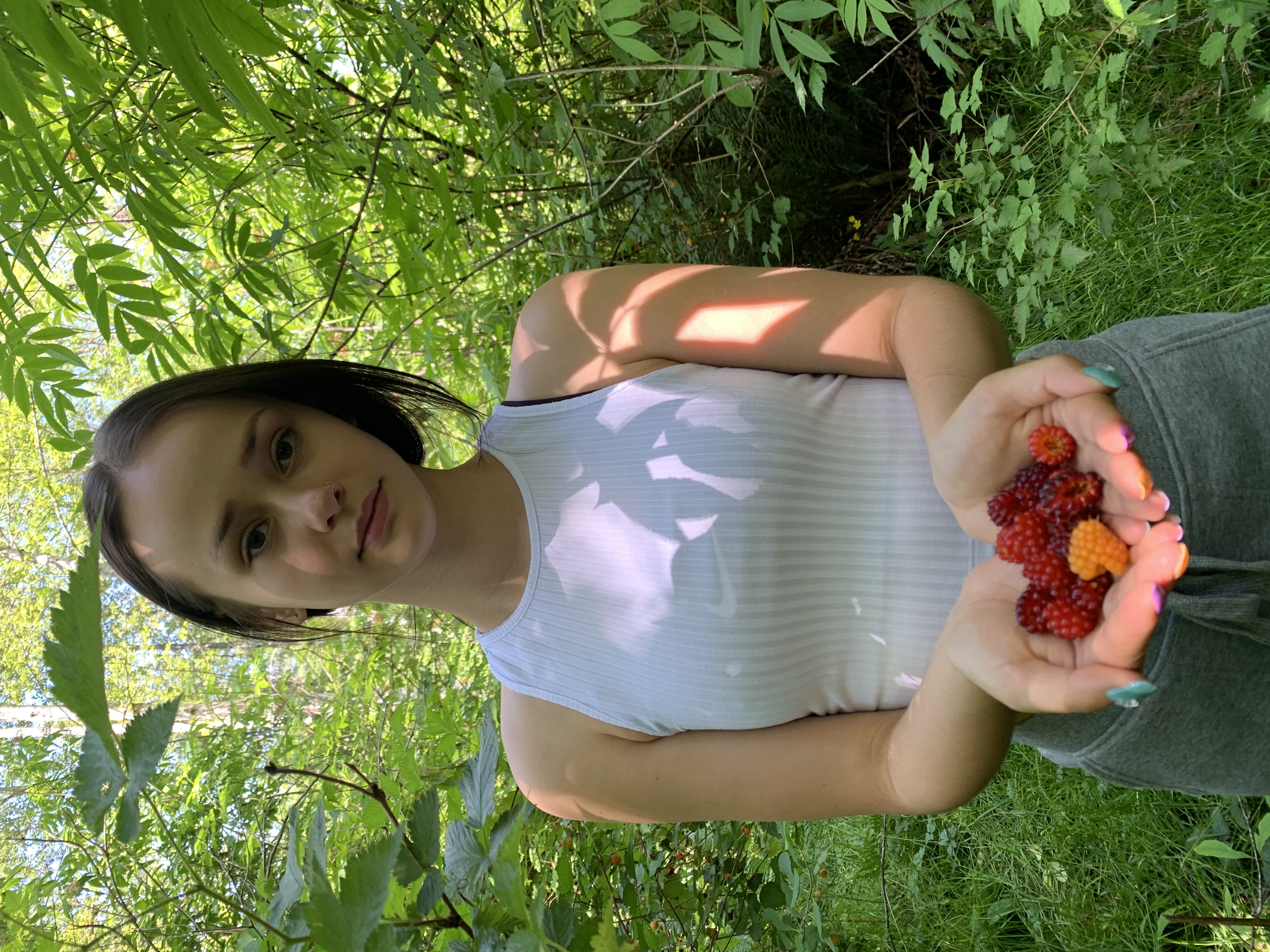 Brianna Offline Mode